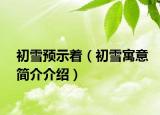 初雪預(yù)示著（初雪寓意簡介介紹）