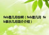 feb是幾月份啊（feb是幾月  feb表示幾月簡(jiǎn)介介紹）