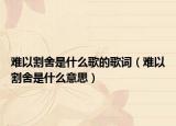 難以割舍是什么歌的歌詞（難以割舍是什么意思）