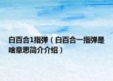 白百合1指彈（白百合一指彈是啥意思簡(jiǎn)介介紹）