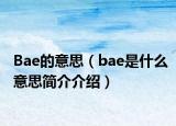 Bae的意思（bae是什么意思簡介介紹）