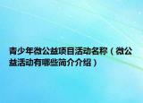 青少年微公益項(xiàng)目活動(dòng)名稱(chēng)（微公益活動(dòng)有哪些簡(jiǎn)介介紹）