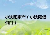 小沈陽(yáng)家產(chǎn)（小沈陽(yáng)低俗門）