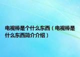 電視棒是個(gè)什么東西（電視棒是什么東西簡(jiǎn)介介紹）