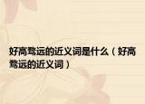 好高騖遠(yuǎn)的近義詞是什么（好高騖遠(yuǎn)的近義詞）