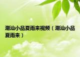 潮汕小品夏雨來視頻（潮汕小品夏雨來）