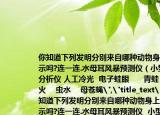 你知道下列發(fā)明分別來自哪種動物身上的啟示嗎?連一連.水母耳風(fēng)暴預(yù)測儀（小型氣體分析儀 人工冷光  電子蛙眼      青蛙      螢火    蟲水    母蒼蠅