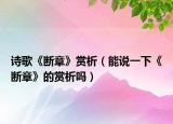 詩(shī)歌《斷章》賞析（能說(shuō)一下《斷章》的賞析嗎）