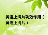 黃連上清片功效作用（黃連上清片）