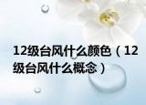 12級臺風什么顏色（12級臺風什么概念）
