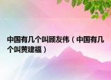 中國有幾個叫顧友偉（中國有幾個叫黃建福）