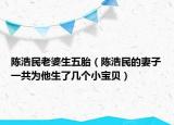 陳浩民老婆生五胎（陳浩民的妻子一共為他生了幾個小寶貝）