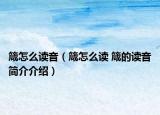 箴怎么讀音（箴怎么讀 箴的讀音簡介介紹）