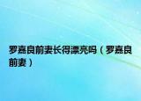羅嘉良前妻長得漂亮嗎（羅嘉良前妻）