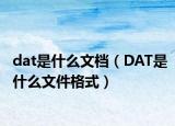 dat是什么文檔（DAT是什么文件格式）