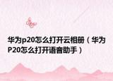 華為p20怎么打開云相冊（華為P20怎么打開語音助手）