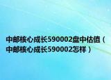 中郵核心成長590002盤中估值（中郵核心成長590002怎樣）