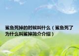鯊魚死掉的時(shí)候叫什么（鯊魚死了為什么叫鯊掉簡介介紹）