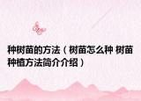 種樹苗的方法（樹苗怎么種 樹苗種植方法簡介介紹）