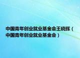 中國(guó)青年創(chuàng)業(yè)就業(yè)基金會(huì)王曉輝（中國(guó)青年創(chuàng)業(yè)就業(yè)基金會(huì)）