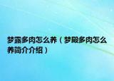 夢(mèng)露多肉怎么養(yǎng)（夢(mèng)殿多肉怎么養(yǎng)簡(jiǎn)介介紹）