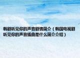 韓劇聽見你的聲音劇情簡介（韓國電視劇聽見你的聲音插曲是什么簡介介紹）