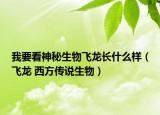 我要看神秘生物飛龍長(zhǎng)什么樣（飛龍 西方傳說(shuō)生物）