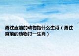 勇往直前的動(dòng)物指什么生肖（勇往直前的動(dòng)物打一生肖）