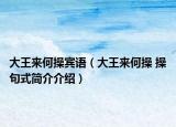 大王來(lái)何操賓語(yǔ)（大王來(lái)何操 操句式簡(jiǎn)介介紹）