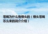 蒼蠅為什么有綠頭的（綠頭蒼蠅怎么來的簡介介紹）