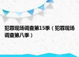 犯罪現(xiàn)場(chǎng)調(diào)查第15季（犯罪現(xiàn)場(chǎng)調(diào)查第八季）