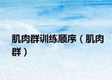 肌肉群訓練順序（肌肉群）