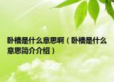 臥槽是什么意思?。ㄅP槽是什么意思簡介介紹）