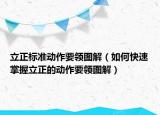 立正標(biāo)準(zhǔn)動作要領(lǐng)圖解（如何快速掌握立正的動作要領(lǐng)圖解）