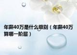 年薪40萬是什么級(jí)別（年薪40萬算哪一階層）