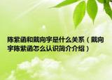 陳紫函和戴向宇是什么關(guān)系（戴向宇陳紫函怎么認識簡介介紹）
