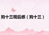 狗十三觀后感（狗十三）