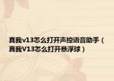真我v13怎么打開聲控語音助手（真我V13怎么打開懸浮球）