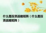 什么是投資戰(zhàn)略矩陣（什么是投資戰(zhàn)略矩陣）