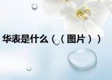 華表是什么（（圖片））