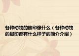 各種動物的腳印像什么（各種動物的腳印都有什么樣子的簡介介紹）