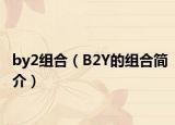by2組合（B2Y的組合簡介）