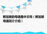 新加坡的母語(yǔ)是中文嗎（新加坡母語(yǔ)簡(jiǎn)介介紹）