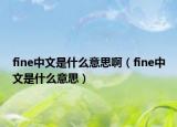 fine中文是什么意思?。╢ine中文是什么意思）