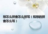 怒怎么拼音怎么拼寫（和怒的拼音怎么寫）