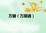 萬(wàn)疆（萬(wàn)朋通）