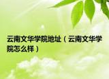 云南文華學院地址（云南文華學院怎么樣）