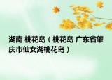 湖南 桃花島（桃花島 廣東省肇慶市仙女湖桃花島）