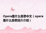 Opera是什么意思中文（opera是什么意思簡介介紹）