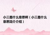 小三是什么意思?。ㄐ∪鞘裁匆馑己?jiǎn)介介紹）